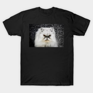 Perser Katze / Swiss Artwork Photography T-Shirt